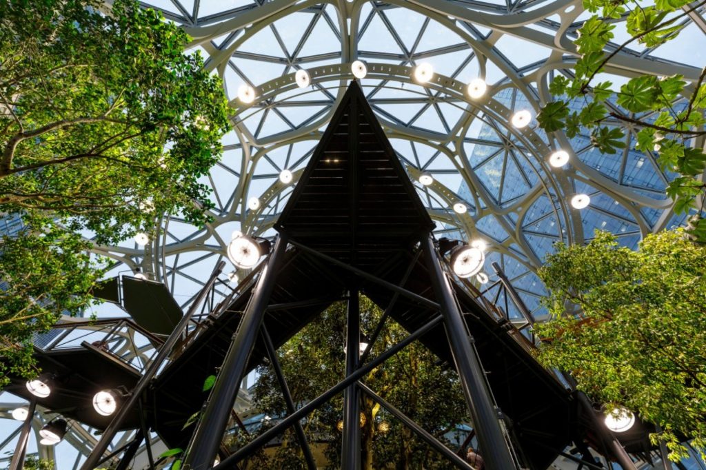 canopy-walk-jordan-stead-amazon_full